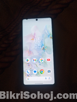 Google Pixel 6 Pro Exchange Possible